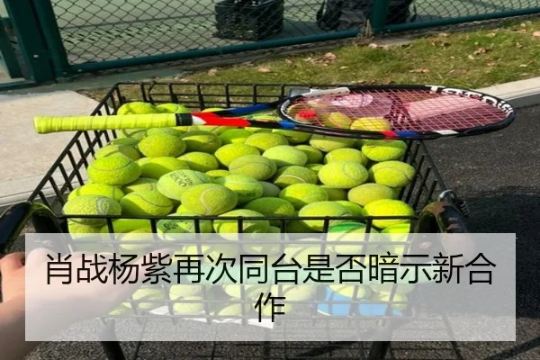 肖战杨紫再次同台是否暗示新合作